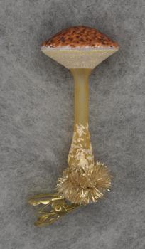 Pilz mit flachem Hut